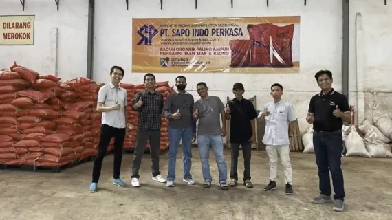 Importir dan Distributor Saponin